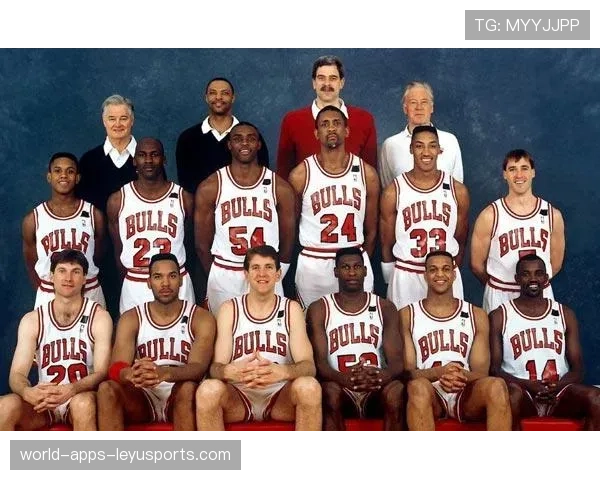 公牛队拼劲十足，期待季后赛突破，公牛队最新队员名单